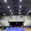 한국체대 효자효녀 태권도 이미지