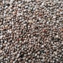 신두리농장 이미지