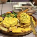 애견세계 이미지