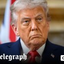 GROOMING 107 이미지