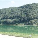 단양 강천쏘가리 이미지