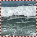 브런치요리 이미지