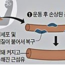 토크스퀘어 이미지