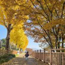 강변로길 이미지