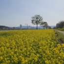 삼산밀면