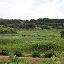 이현동1 이미지