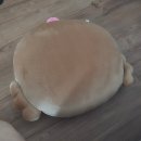 왓챠 같이하면 연락도 할 수 있나요?
