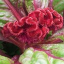 장현3리 이미지