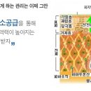 성피부관리실