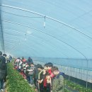 천마태권스쿨 이미지