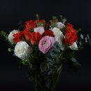 남해쭈꾸미마을 이미지