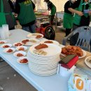 제주 올레길 2코스 | 2025 제주올레걷기축제대회 참가 후기 2일차(올레길 17•18코스)