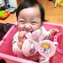 정인 이미지
