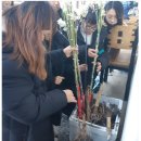 증산초등학교 이미지