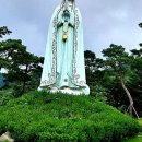 마재공인중개사사무소 이미지