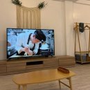 토실이네 | 남양주 애견동반 독채 펜션 ‘토실이네’ 개별수영장,애견운동장까지