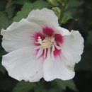 부용쉼터 이미지