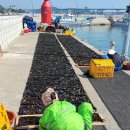 용초화장실 이미지