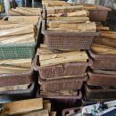 해물구이 | 구산 수박골 굴구이 맛집｜겨울 제철 해물모둠구이 솔직 후기