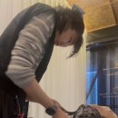 은지헤어 이미지