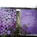 테라롯지흙집 이미지