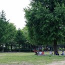 서울숲11 이미지