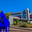 케이티엔지상상마당춘천스테이 이미지