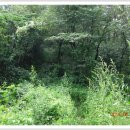 무안스포츠파크 이미지