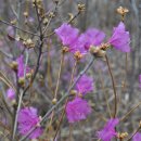 산업도로변 이미지