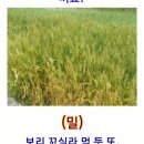 추억여행