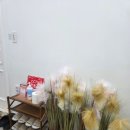 감로미용실 | 키즈풀파티룸 프라이빗 워터룸 키즈풀 아워풀데이 남양점 화성키즈풀 내돈내산 후기 !