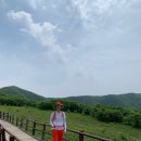 곰배령끝집 이미지