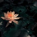 알찬정보 이미지