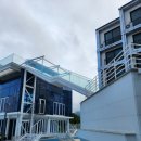 위아펜션 | 인피니티 수영장 뷰에 감탄한 삼척펜션 위아펜션, 진짜 힐링 제대로 했어요✨