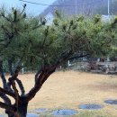 예예펜션 | 경주 독채 펜션 예예펜션 가격 및 숙박 후기