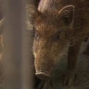 강화읍-17 이미지