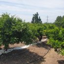 훈이농장 이미지