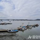 초지어판장