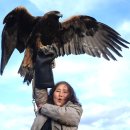 유목민의 눈으로 본 아시아: 몽골 유목문화의 전통과 현대 | 울란바토르 자유여행 1일차 (몽골 박물관,나란톨시장, 국영백화점,테를지 반일투어)