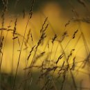 경희대강찬태권도 이미지