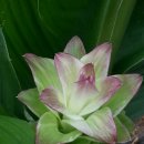 대천농장 이미지