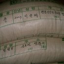 증도슬로시티 영농조합 이미지