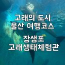 울산 장생포고래박물관 | 울산 아이와 가볼 만한 곳 울산 여행지 추천| 울산 장생포 고래 박물관 / 고래생태체험관 생생후기