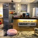 하우스독 이미지