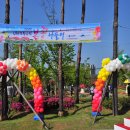 부산 평화공원 꽃축제 이미지