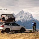 에이스지프 이미지