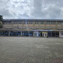 더마파크 공연장 | [제주 여행지 추천] 더마파크 기마공연! 관람후기