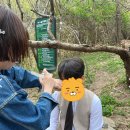 이세미 헤어스튜디오 | [결혼준비] 웨딩스냅의 꽃, 헤어변형 '코코웨딩' 후기