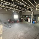 최가네스팀손세차 이미지