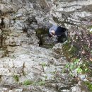 상원사샘터 이미지